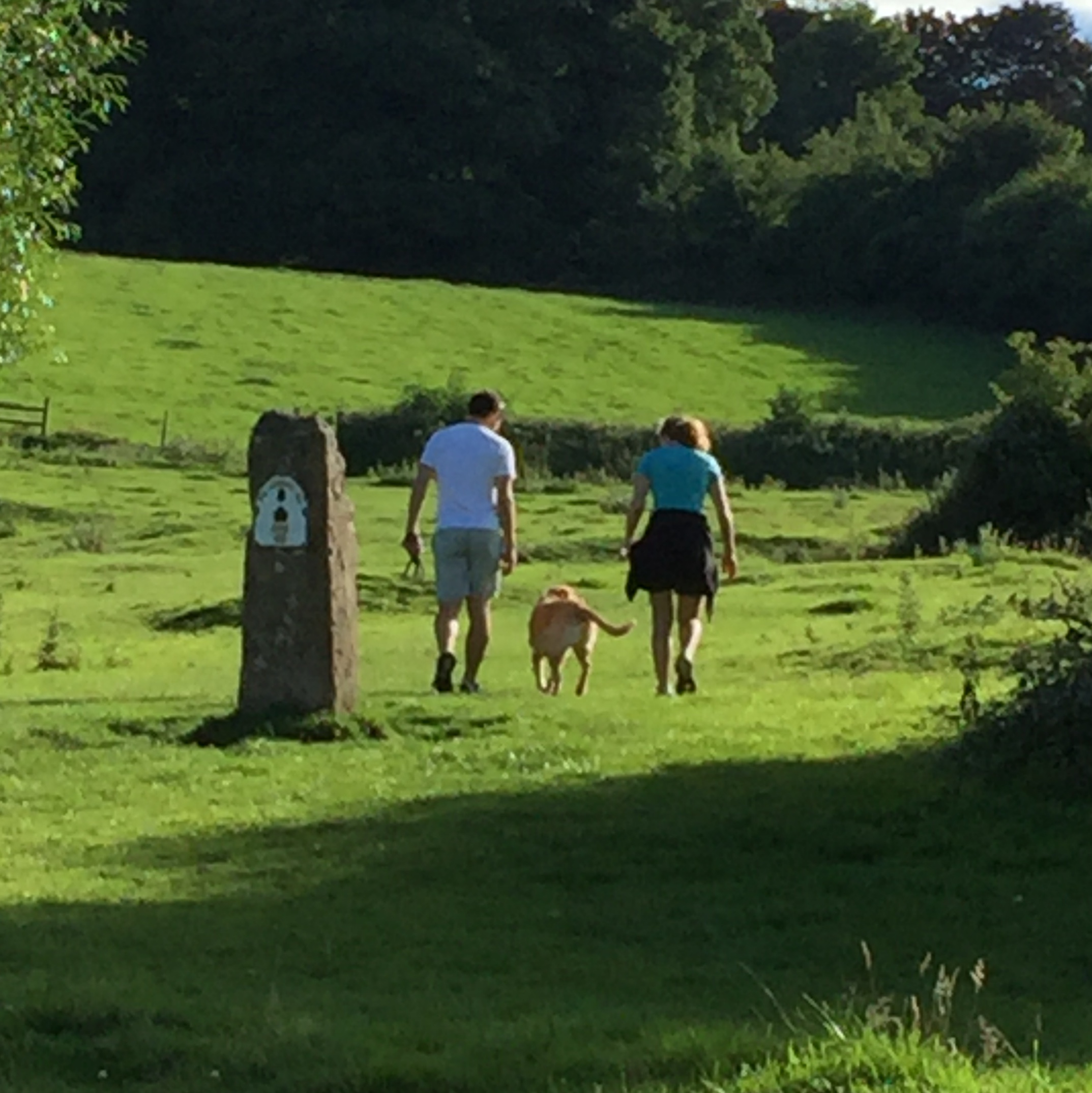 Walkies